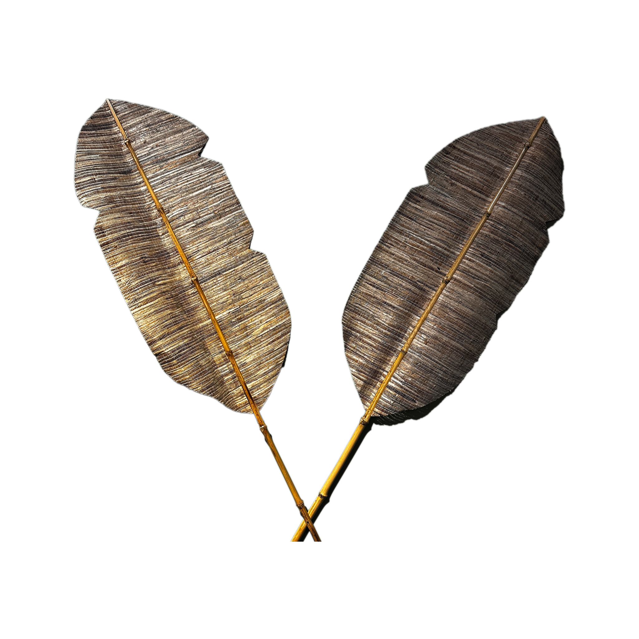 Ancient Fan Wall Decoration