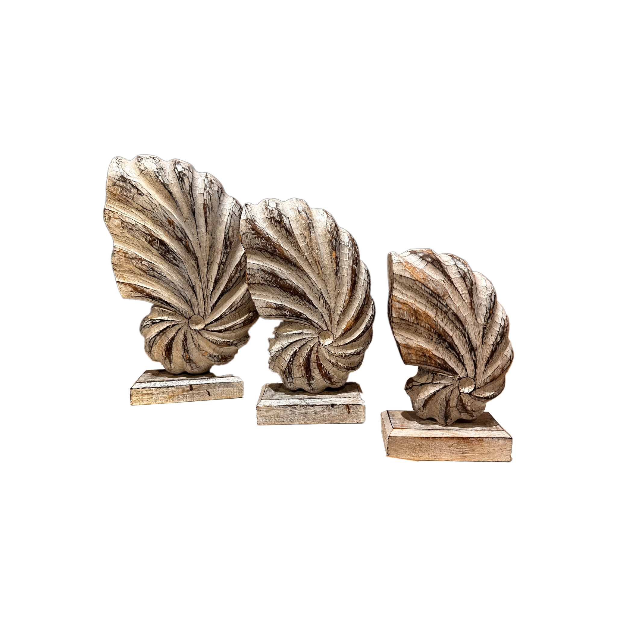 Seashells Decoration with Base 3pc