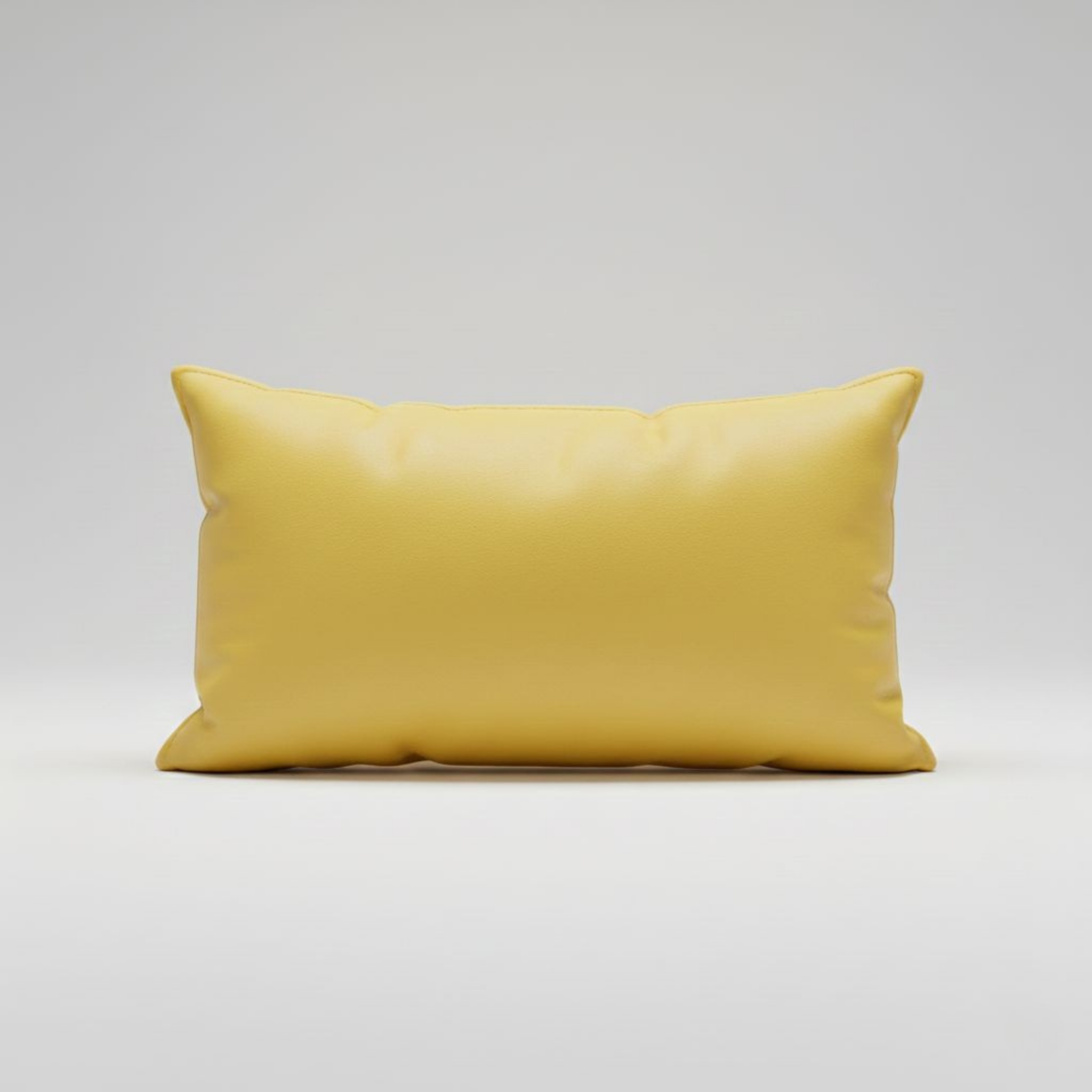 Leather Cushion