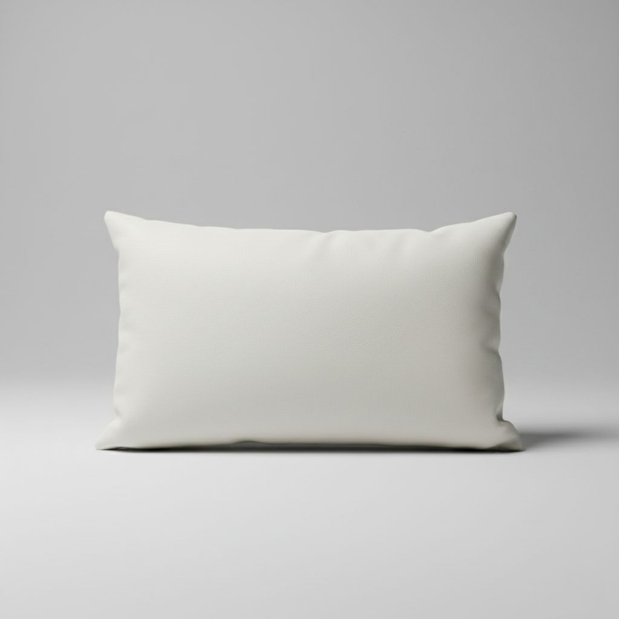 Leather Cushion