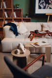 Sinatra Chocolate Sofa