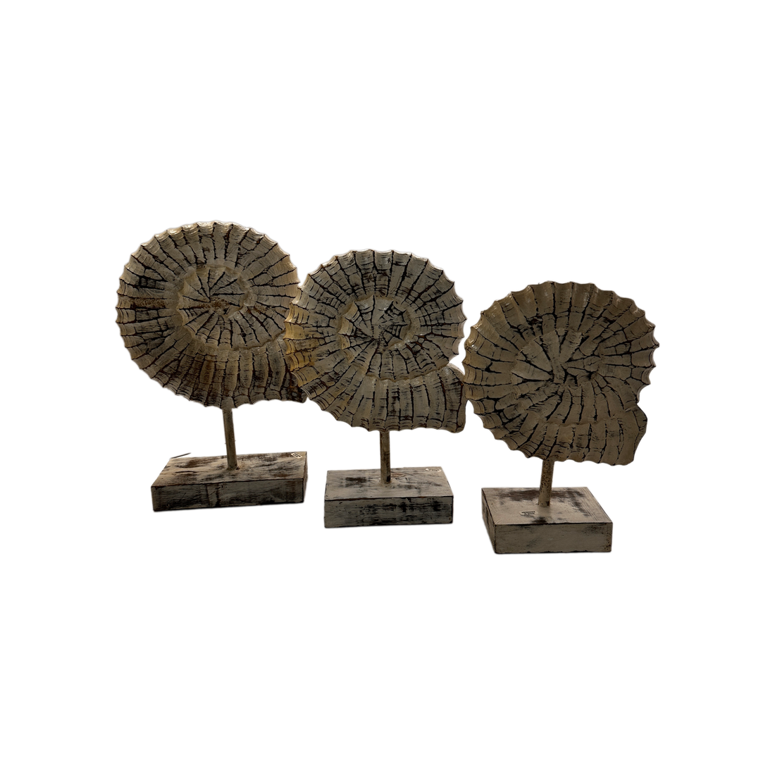 Seashells Decoration with Stand 3pc