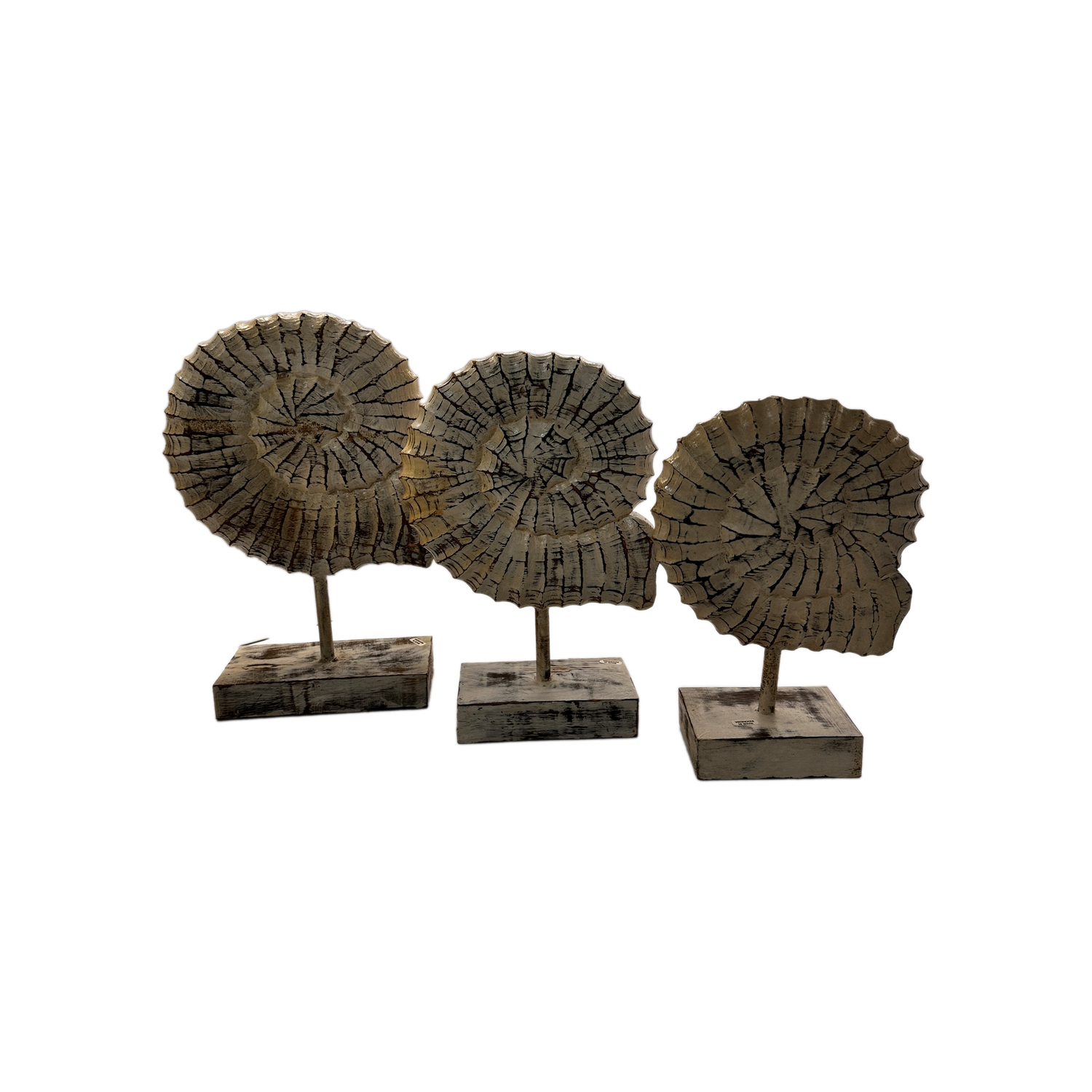 Seashells Decoration with Stand 3pc