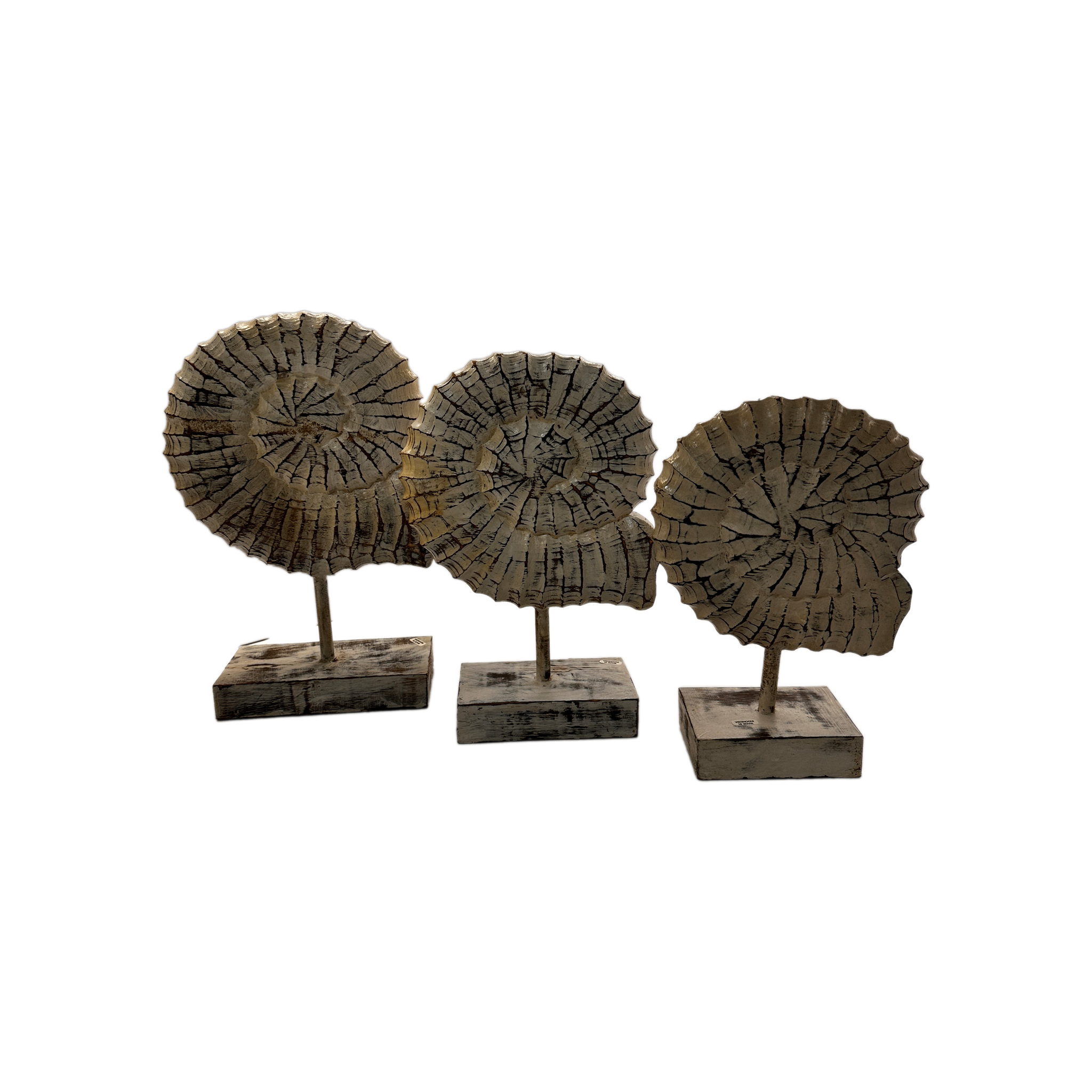 Seashells Decoration with Stand 3pc