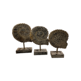 Seashells Decoration with Stand 3pc
