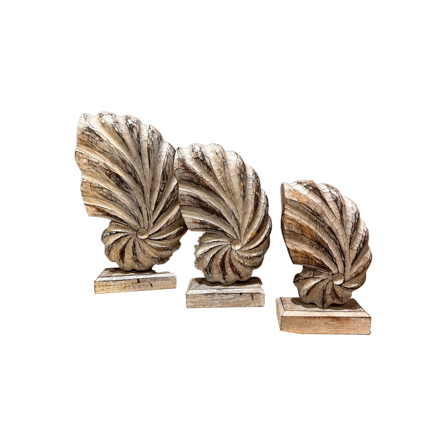 Seashells Decoration with Base 3pc