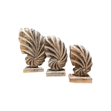 Seashells Decoration with Base 3pc