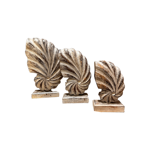 Seashells Decoration with Base 3pc