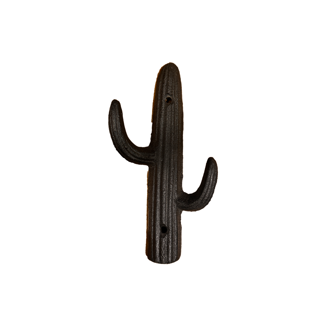 Cactus Hanger