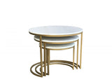 Sinatra Nesting Tables St.St 3 pc with Glass