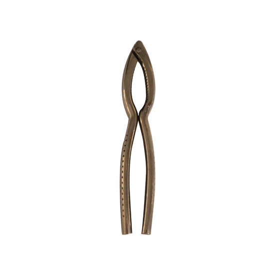 X Hazelnut Crusher Stainless Steel