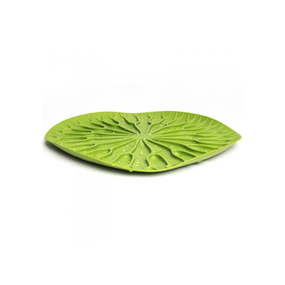 Decorative tray by Designy for home accessories 