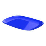 Eden Basics Serving platter (Blue)