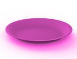 Flat Plastic Plate 26cm Fuchsia