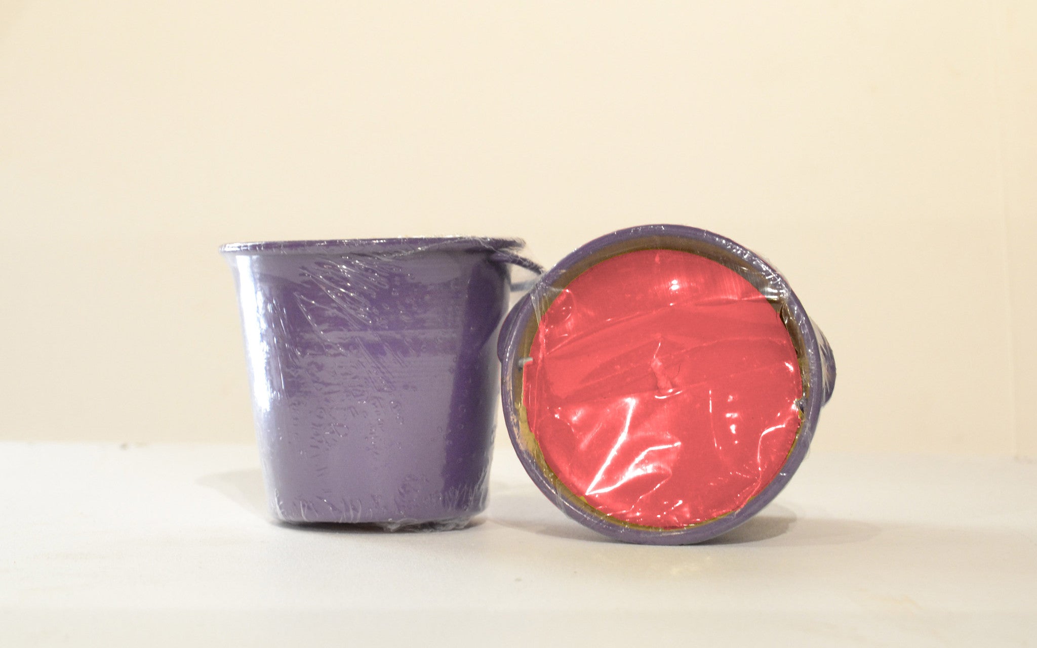 Small Bucket filled with Citronella Purple Fuschia