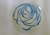20 cm elite Blue plate